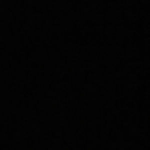 Meet your Posher, Arianna